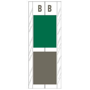 4" H x 1-1/2" W Green/Gray Acme Visible Compatible 4" 2-Color Alpha Tabs 'B' (102/Pack) - 12702