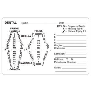 4"W x 2-5/8"H White "Dental Name__Date__Key: O = Displaced Tooth X = Missing Tooth" (240/Roll) - V-AN650
