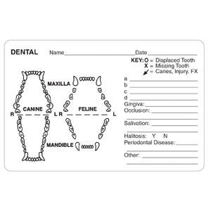 4"W x 2-5/8"H White "Dental Name__Date__Key: O = Displaced Tooth = Missing Tooth" (240/Roll) - V-AN412